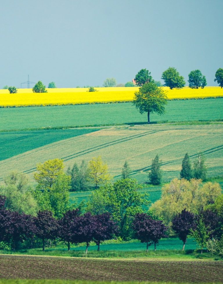 Landschaft Sachsen