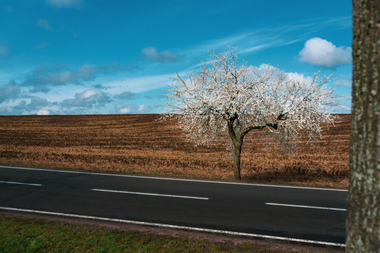 landschaftsbilder-fotowalk-fotografie -Sachsen